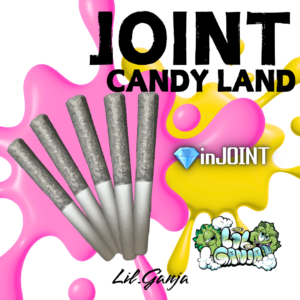 JOINT-CANDY LAND-